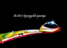 Az élet 7 legnagyobb igazsága