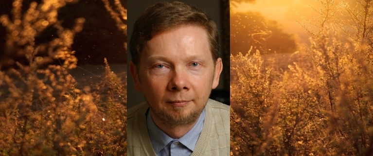 Eckhart Tolle A most hatalma könyv