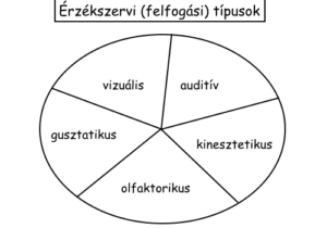 Érzékszervi (felfogási) típusok