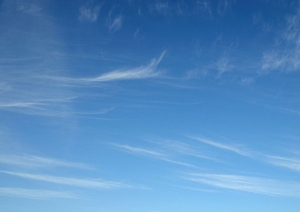 További 5 ok, hogy miért válassz engem: