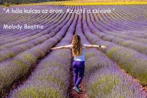 Hála idézet - Melody Beattie