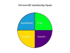 Introvertáltság fajtái, típusai