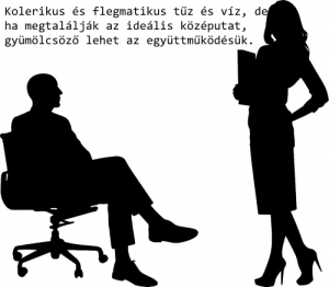 Kolerikus és flegmatikus együttműködése