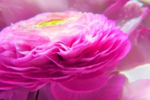 Legjobb motiváló mondatok