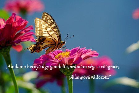 Mély jelentésű gondolatok