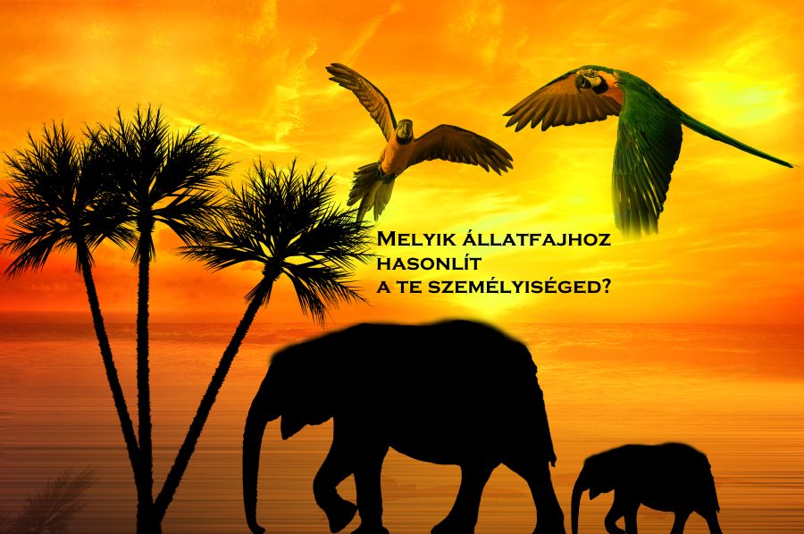 Melyik állatfajhoz hasonlít a te személyiséged?