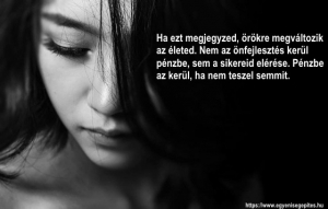 Nem az önfejlesztés kerül pénzbe