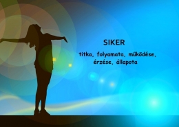 Siker titka, folyamata, működése, érzése, állapota